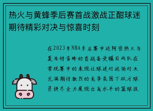 热火与黄蜂季后赛首战激战正酣球迷期待精彩对决与惊喜时刻