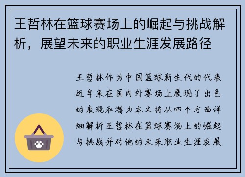王哲林在篮球赛场上的崛起与挑战解析，展望未来的职业生涯发展路径