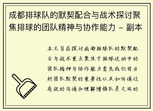 成都排球队的默契配合与战术探讨聚焦排球的团队精神与协作能力 - 副本
